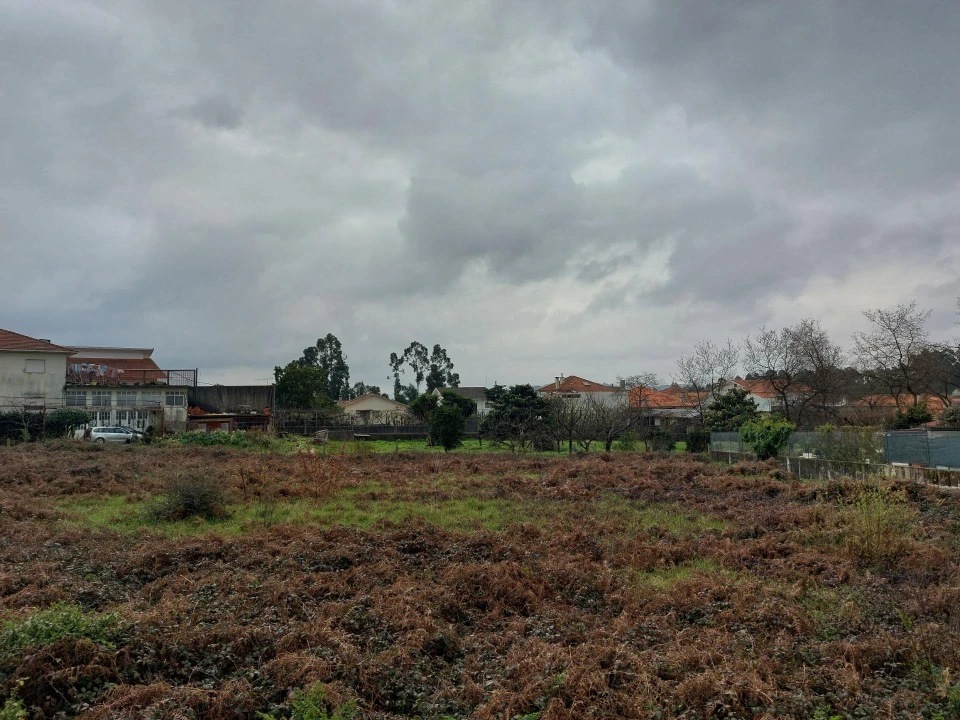 Terreno Agricola ou Rústico para Venda em Santa Maria da Feira, Travanca, Sanfins e Espargo Foto 9