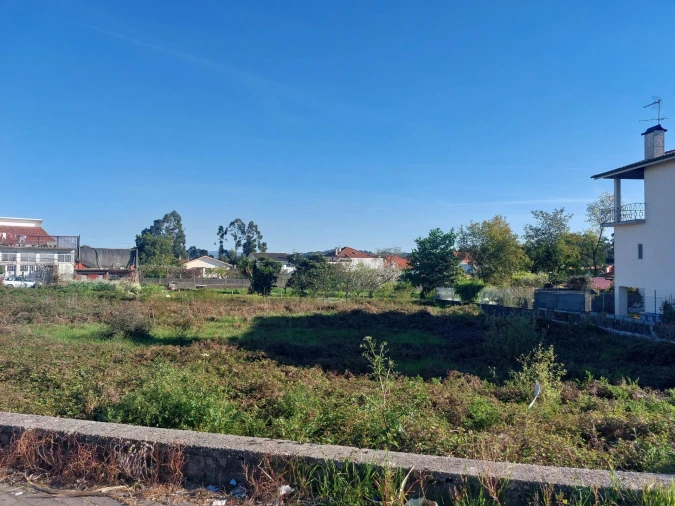 Terreno Agricola ou Rústico para Venda em Santa Maria da Feira, Travanca, Sanfins e Espargo Foto 11