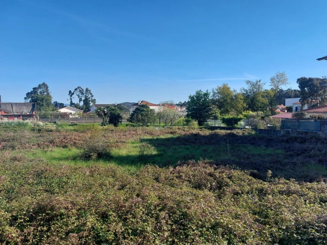 Terreno Agricola ou Rústico para Venda em Santa Maria da Feira, Travanca, Sanfins e Espargo Foto 2