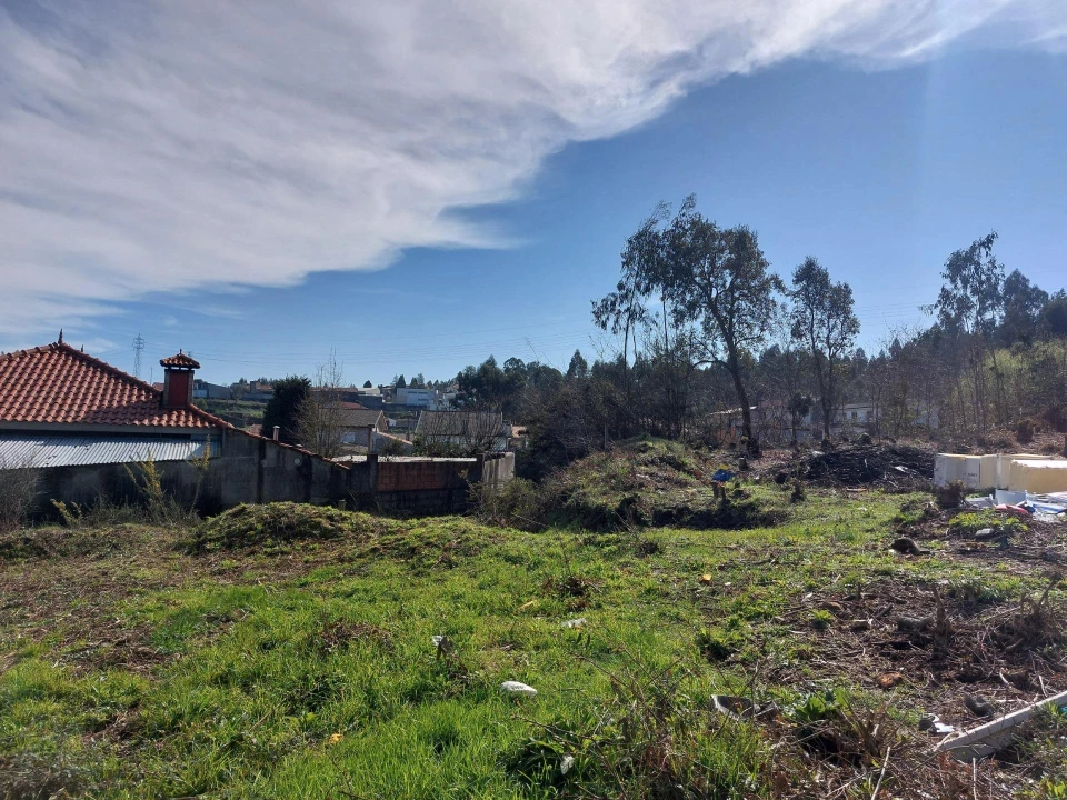 Terreno Agricola ou Rústico para Venda em Santa Maria da Feira, Travanca, Sanfins e Espargo Foto 1
