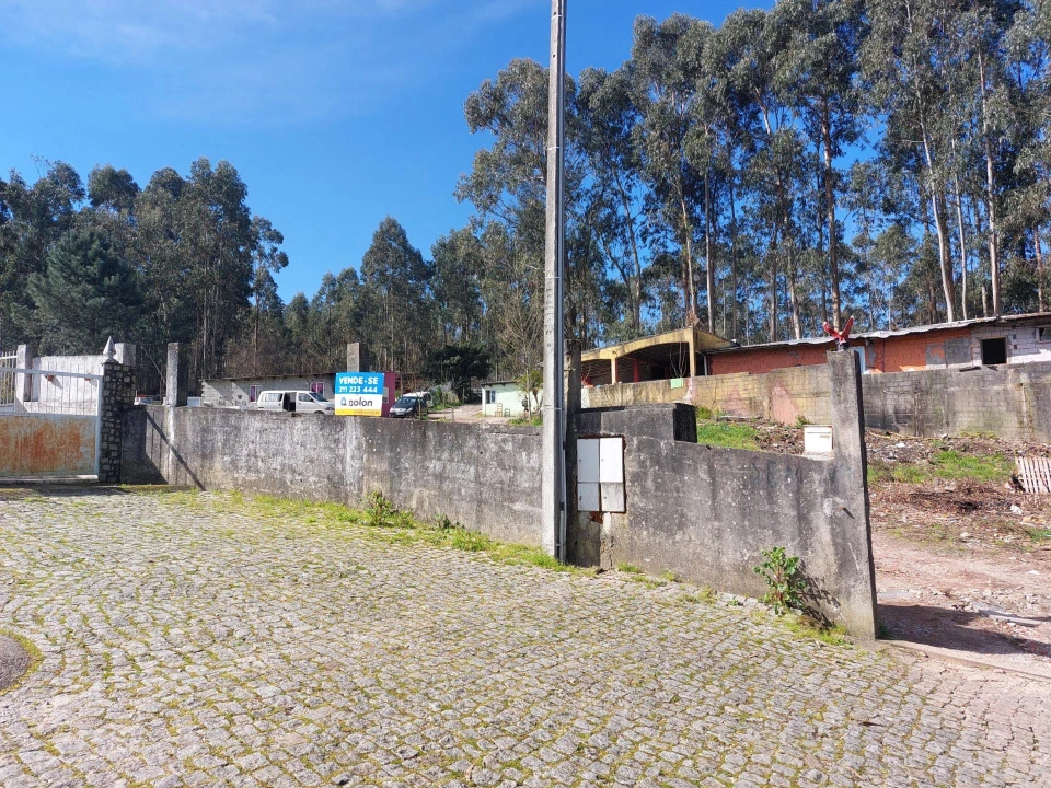 Terreno Agricola ou Rústico para Venda em Santa Maria da Feira, Travanca, Sanfins e Espargo Foto 10