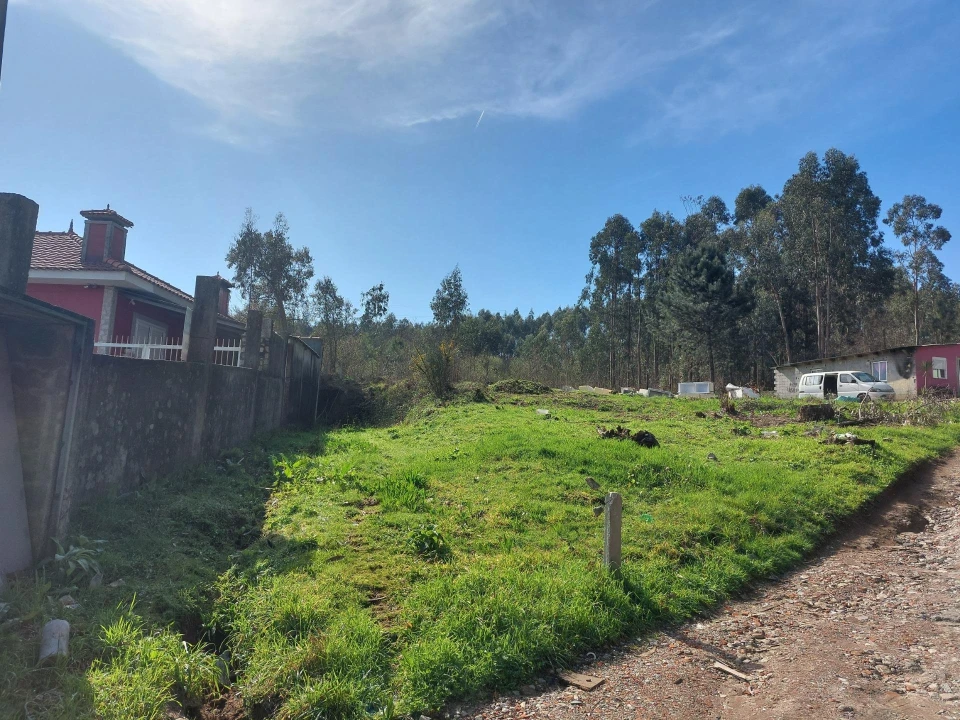 Terreno Agricola ou Rústico para Venda em Santa Maria da Feira, Travanca, Sanfins e Espargo Foto 2