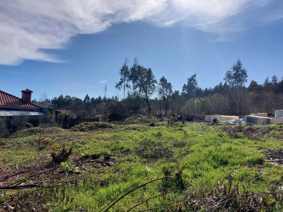 Terreno Agricola ou Rústico para Venda em Santa Maria da Feira, Travanca, Sanfins e Espargo Foto 3