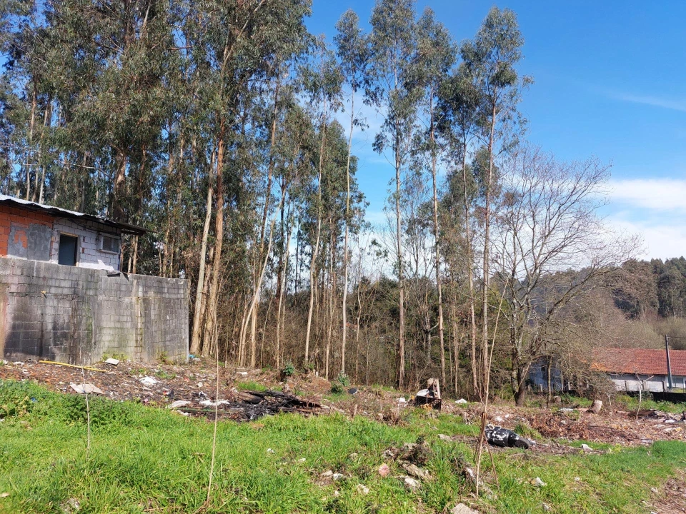 Terreno Agricola ou Rústico para Venda em Santa Maria da Feira, Travanca, Sanfins e Espargo Foto 4
