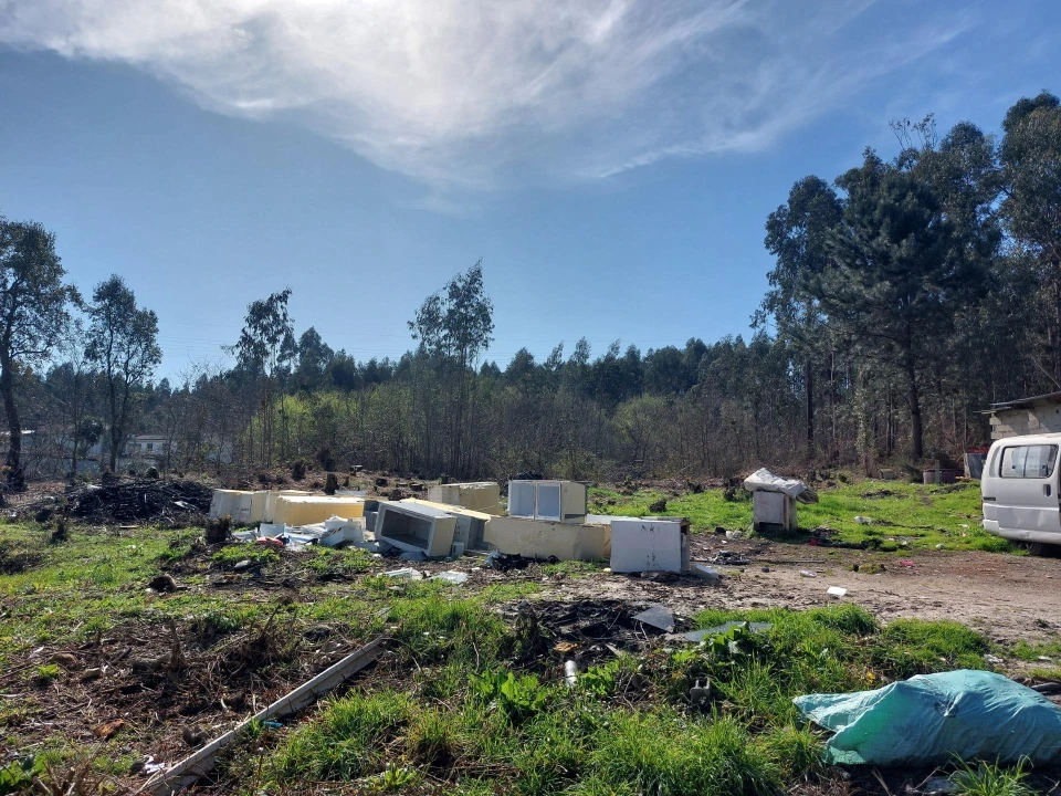 Terreno Agricola ou Rústico para Venda em Santa Maria da Feira, Travanca, Sanfins e Espargo Foto 6