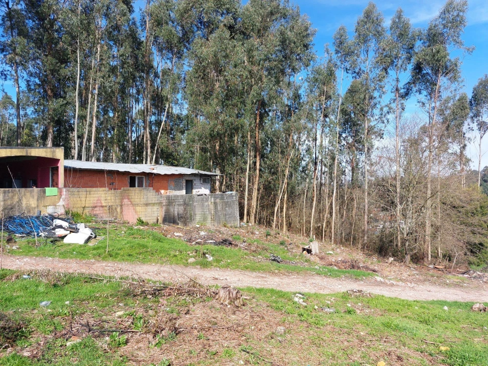 Terreno Agricola ou Rústico para Venda em Santa Maria da Feira, Travanca, Sanfins e Espargo Foto 7