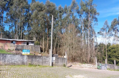 Terreno Agricola ou Rústico para Venda em Santa Maria da Feira, Travanca, Sanfins e Espargo