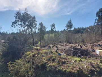 Terreno Agricola ou Rústico para Venda em Santa Maria da Feira, Travanca, Sanfins e Espargo