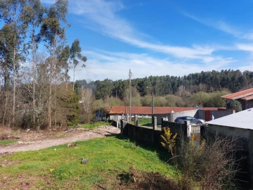 Terreno Agricola ou Rústico para Venda em Santa Maria da Feira, Travanca, Sanfins e Espargo