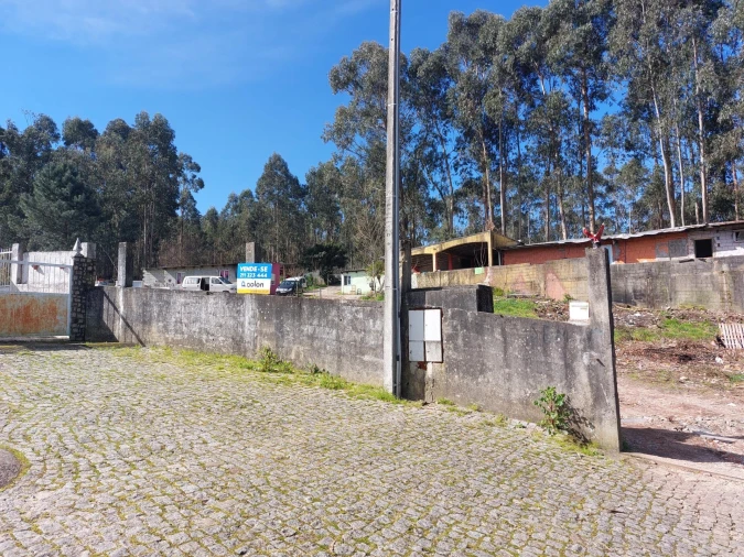 Terreno Agricola ou Rústico para Venda em Santa Maria da Feira, Travanca, Sanfins e Espargo Foto 10
