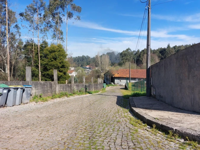 Terreno Agricola ou Rústico para Venda em Santa Maria da Feira, Travanca, Sanfins e Espargo Foto 13