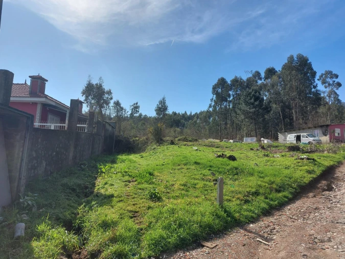 Terreno Agricola ou Rústico para Venda em Santa Maria da Feira, Travanca, Sanfins e Espargo Foto 2