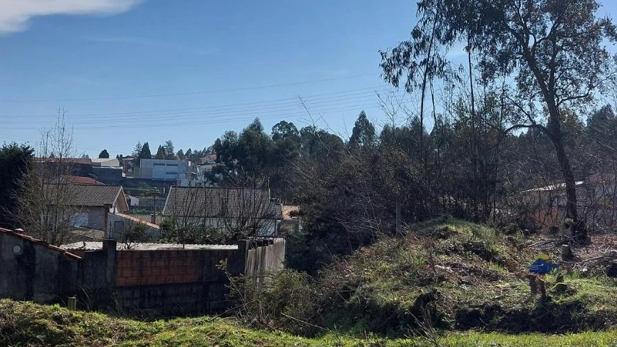 Terreno Agricola ou Rústico para Venda em Santa Maria da Feira, Travanca, Sanfins e Espargo