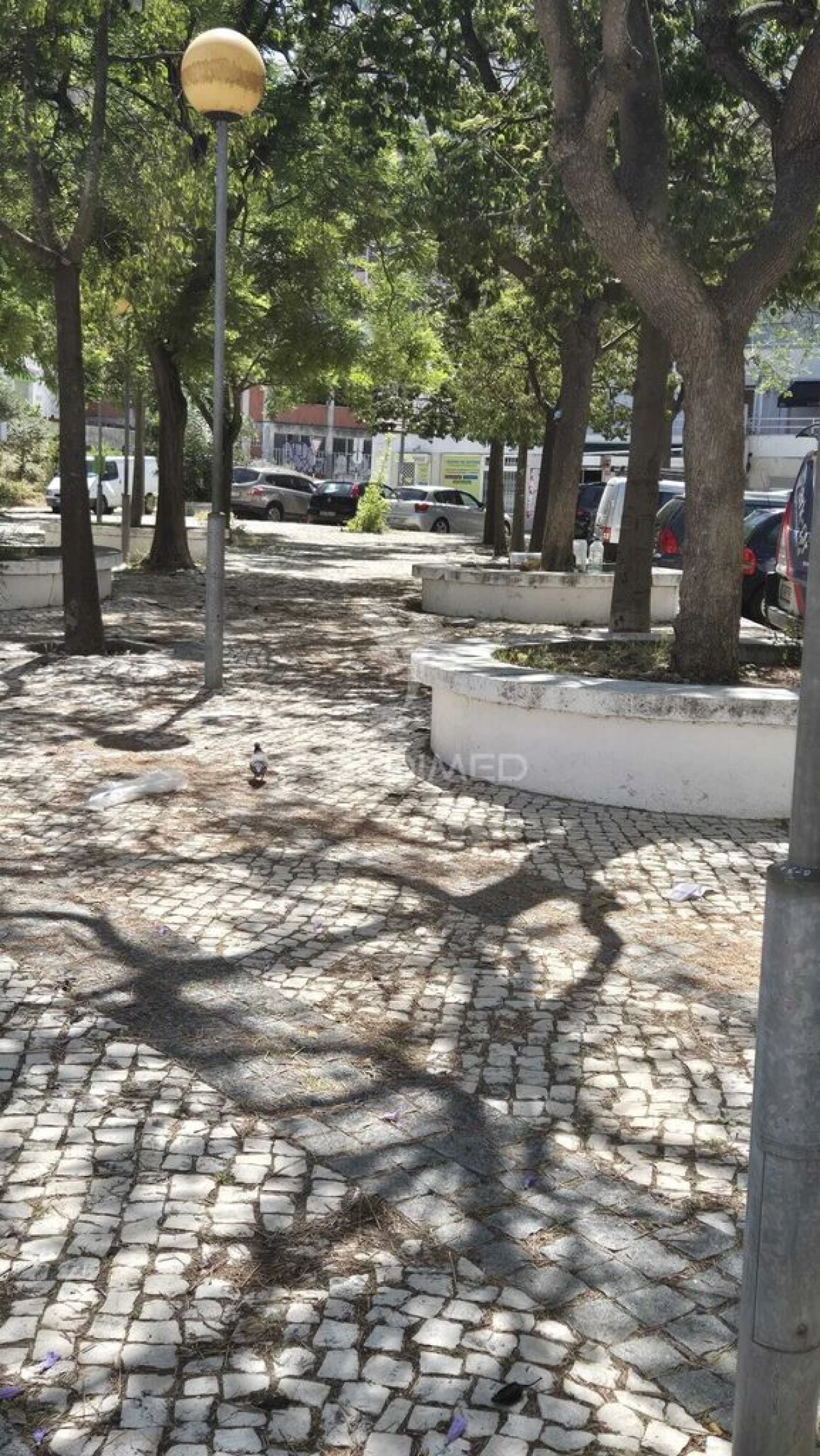 Loja para Venda em Laranjeiro e Feijó Foto 14