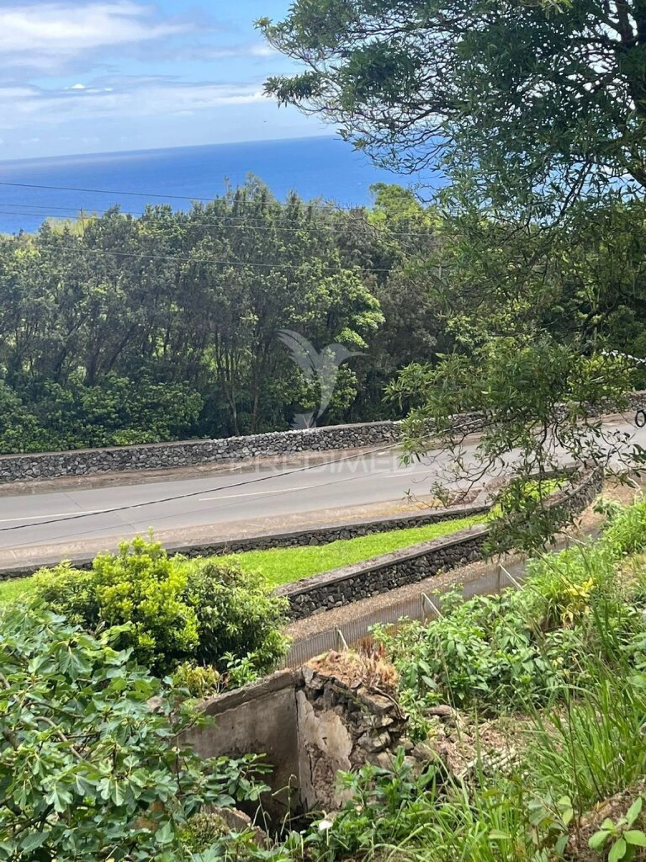 Terreno para Venda em Quatro Ribeiras Foto 6