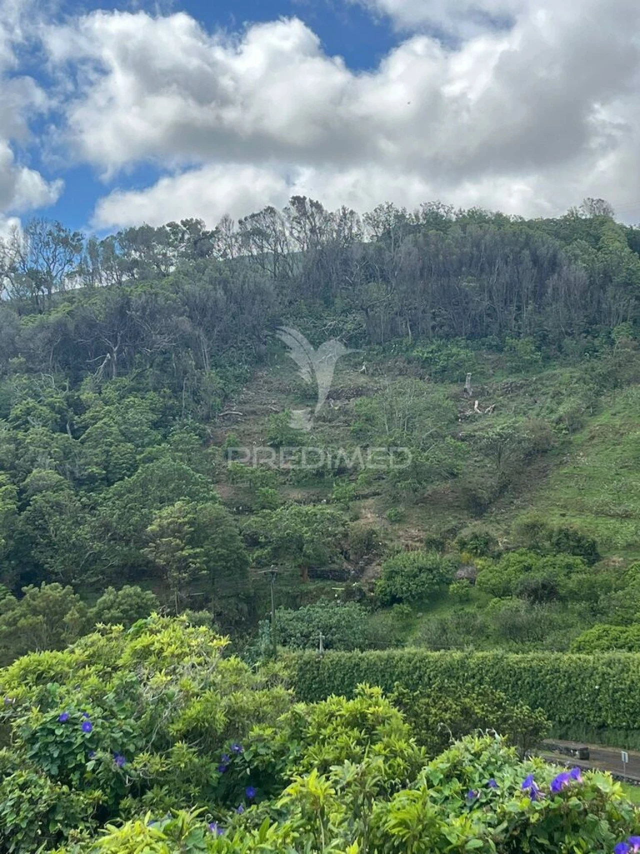 Terreno para Venda em Quatro Ribeiras Foto 7
