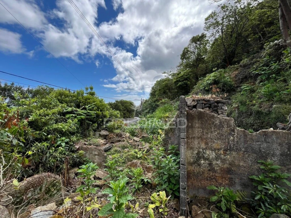 Terreno para Venda em Quatro Ribeiras Foto 2