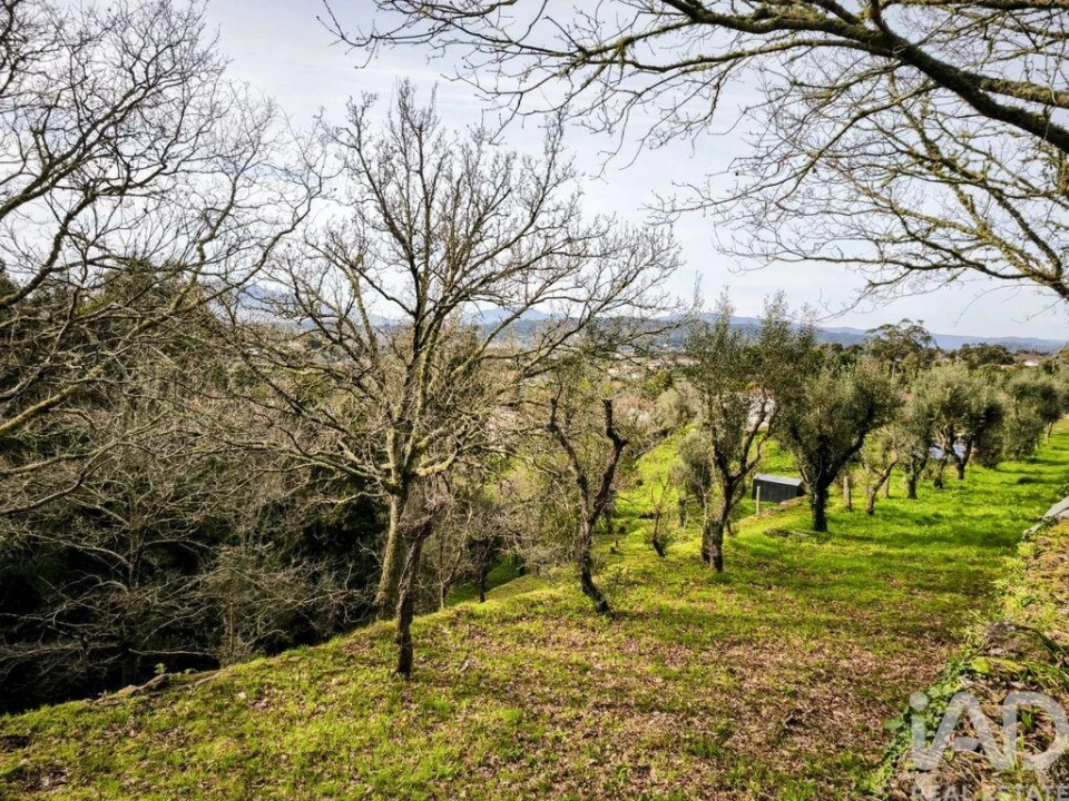 Quinta para Venda em Argela Foto 35