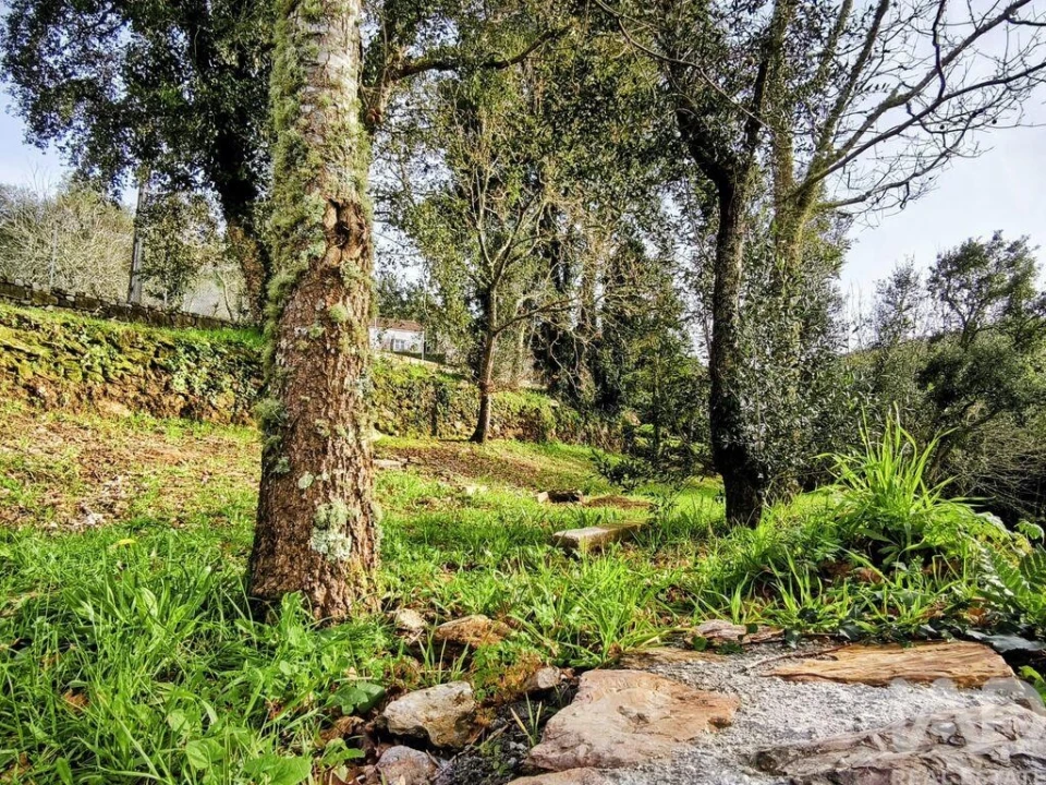 Quinta para Venda em Argela Foto 36