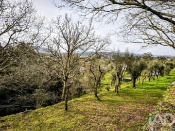 Quinta para Venda em Argela