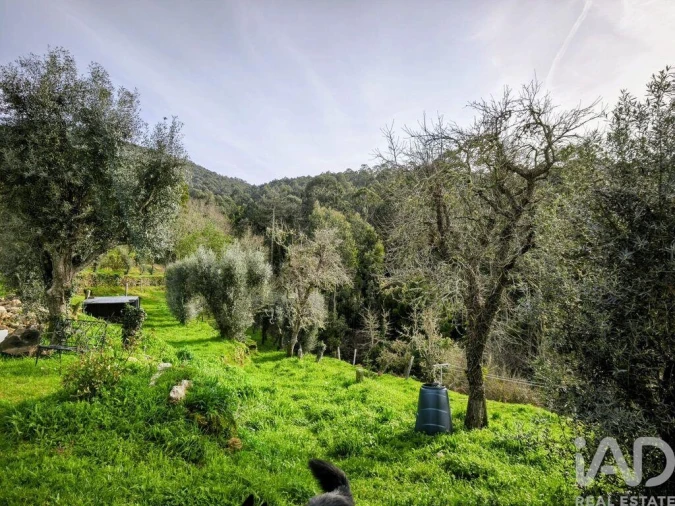 Quinta para Venda em Argela Foto 18