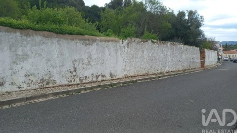 Terreno para Venda em Salir