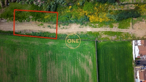Terreno para Venda em Relva