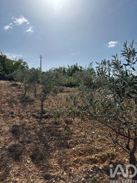 Moradia T4 para Venda em Sobreira Formosa e Alvito da Beira