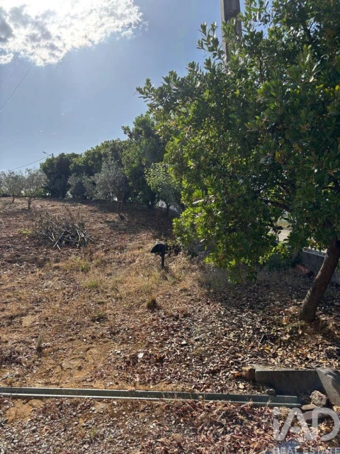Moradia T4 para Venda em Sobreira Formosa e Alvito da Beira
