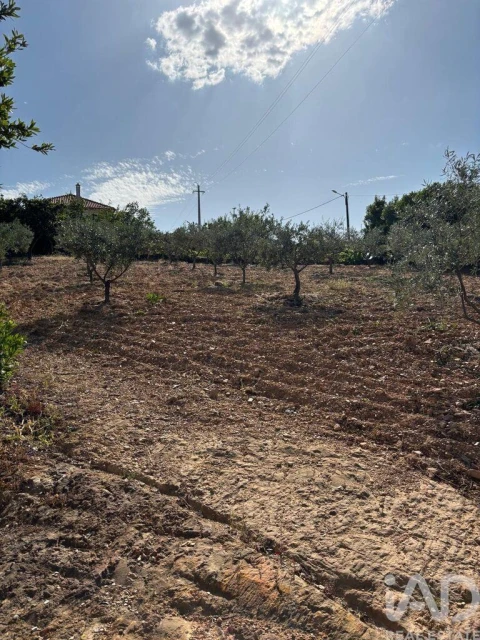 Moradia T4 para Venda em Sobreira Formosa e Alvito da Beira
