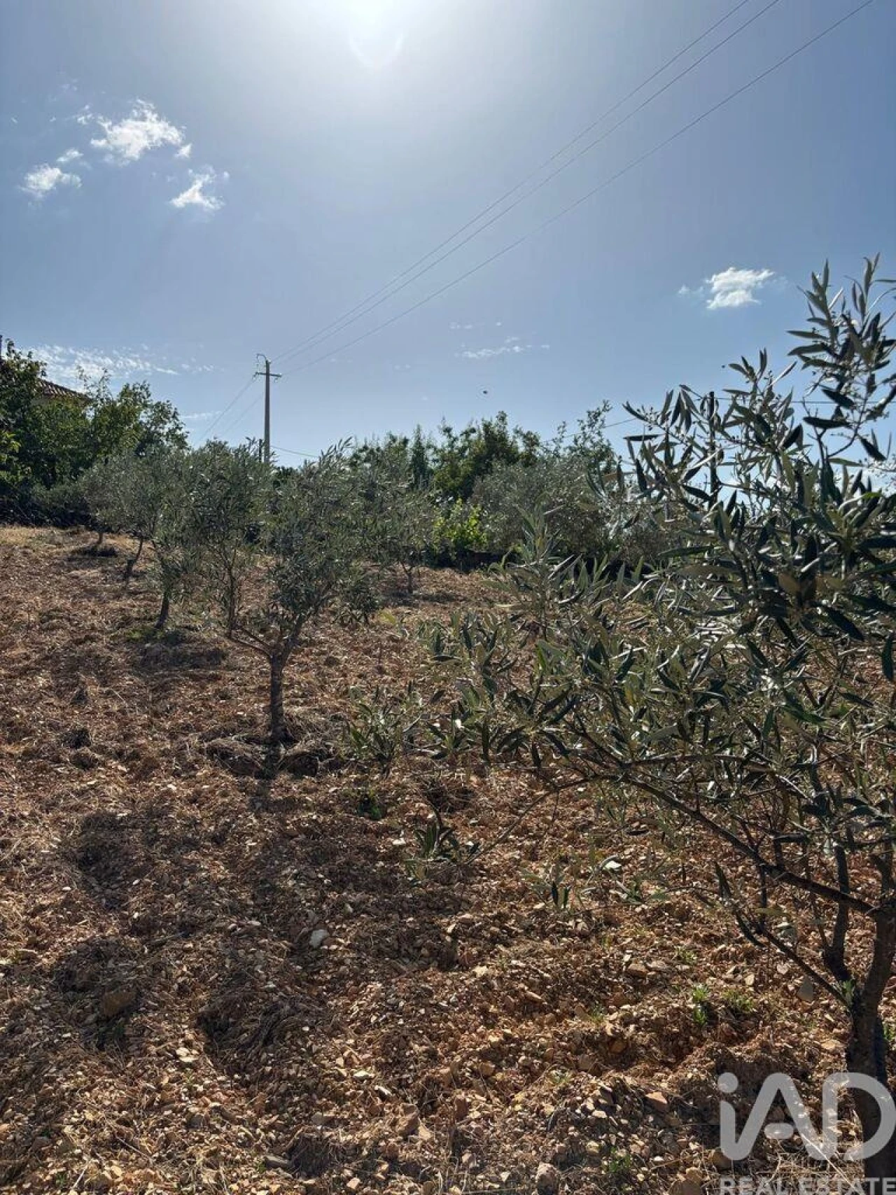 Moradia T4 para Venda em Sobreira Formosa e Alvito da Beira Foto 22