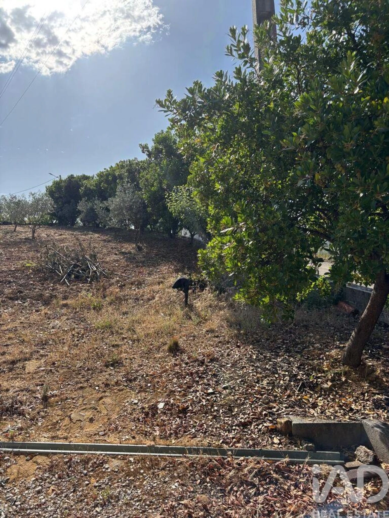 Moradia T4 para Venda em Sobreira Formosa e Alvito da Beira Foto 26