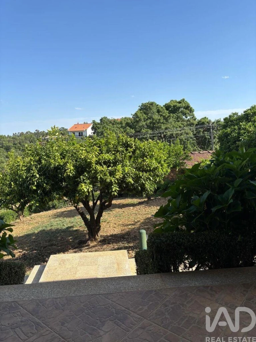 Moradia T4 para Venda em Sobreira Formosa e Alvito da Beira Foto 39