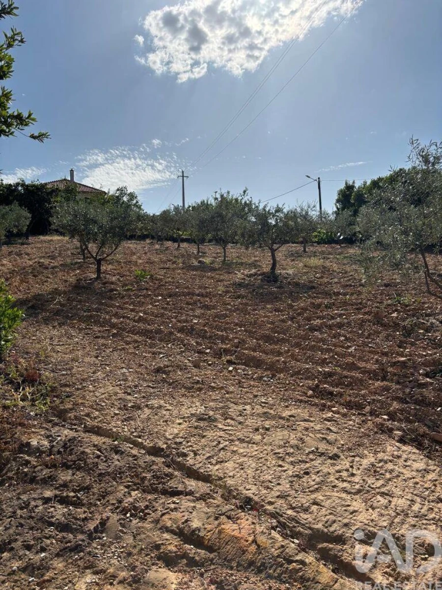 Moradia T4 para Venda em Sobreira Formosa e Alvito da Beira Foto 25