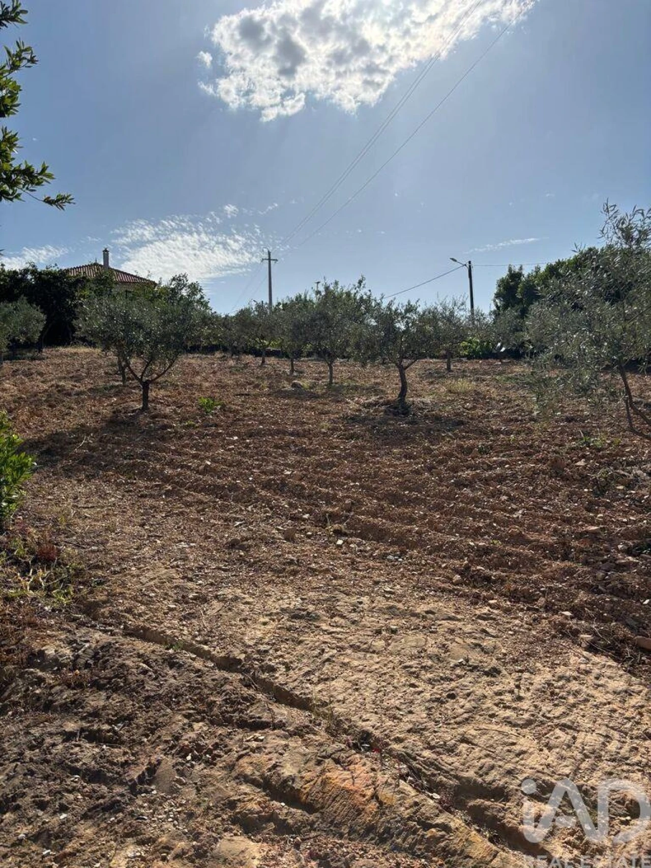 Moradia T4 para Venda em Sobreira Formosa e Alvito da Beira Foto 25