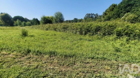 Terreno para Venda em Vilar de Mouros