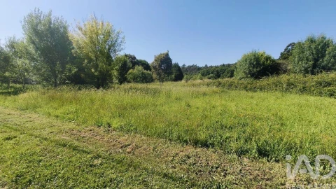 Terreno para Venda em Vilar de Mouros