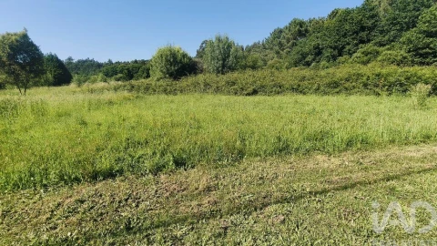 Terreno para Venda em Vilar de Mouros