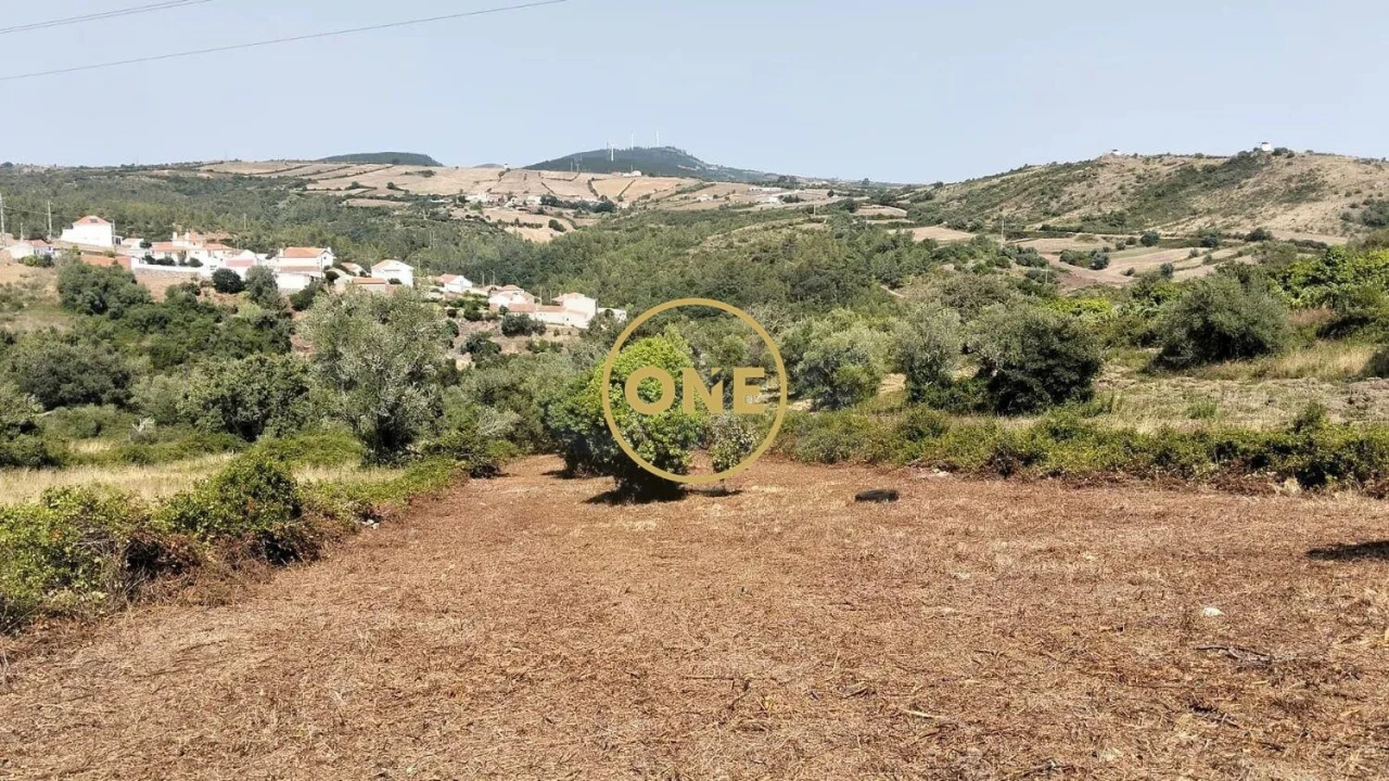 Terreno para Venda em Igreja Nova e Cheleiros Foto 19