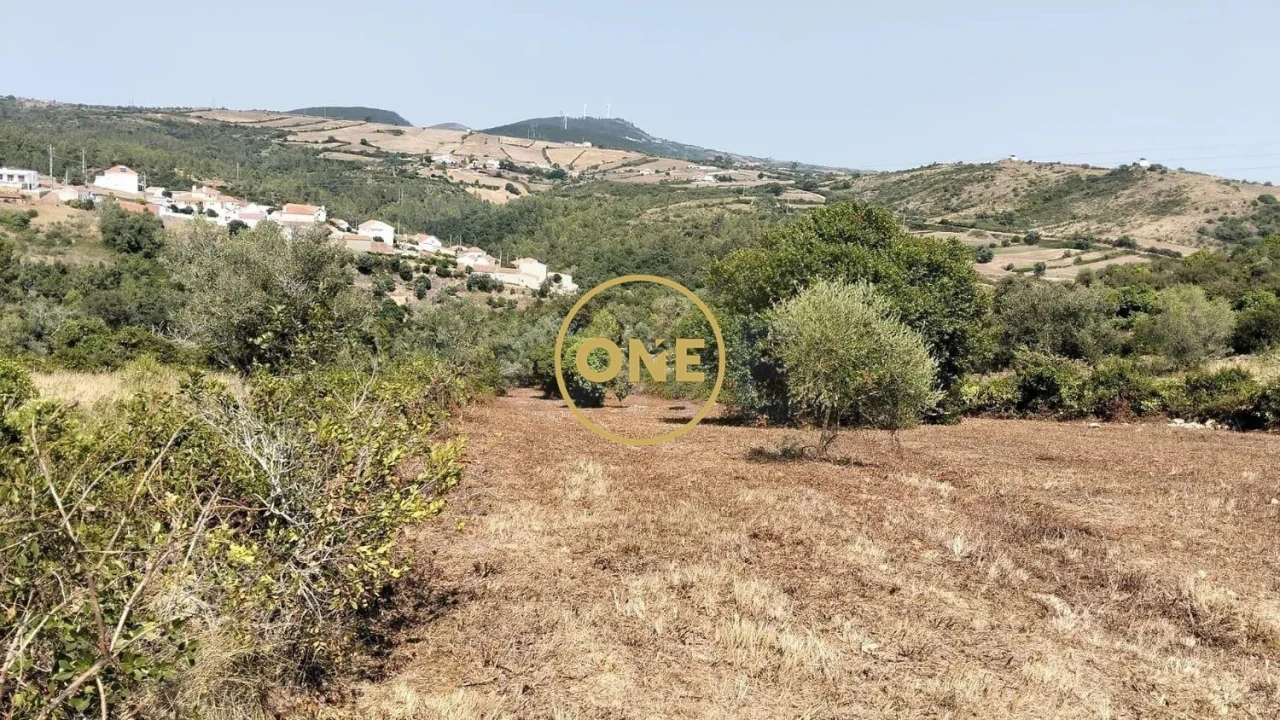 Terreno para Venda em Igreja Nova e Cheleiros Foto 21