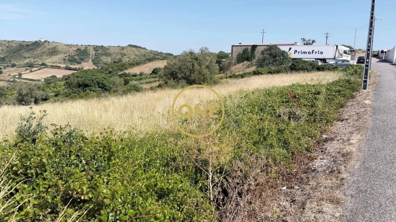 Terreno para Venda em Igreja Nova e Cheleiros Foto 6