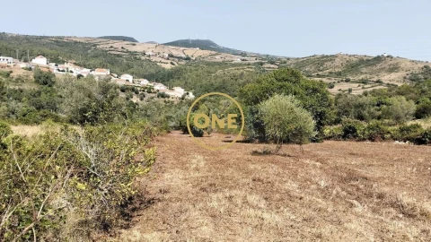 Terreno para Venda em Igreja Nova e Cheleiros