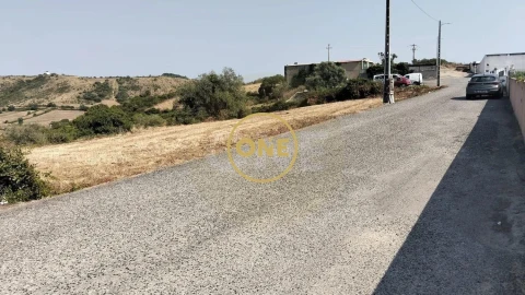 Terreno para Venda em Igreja Nova e Cheleiros