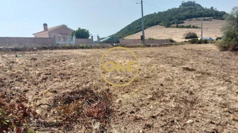 Terreno para Venda em Igreja Nova e Cheleiros