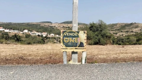 Terreno para Venda em Igreja Nova e Cheleiros