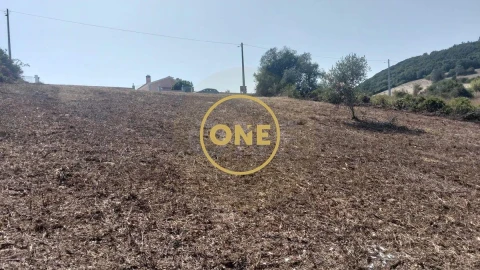Terreno para Venda em Igreja Nova e Cheleiros