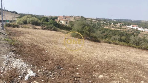 Terreno para Venda em Igreja Nova e Cheleiros