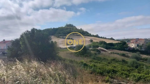 Terreno para Venda em Igreja Nova e Cheleiros