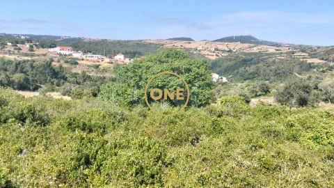 Terreno para Venda em Igreja Nova e Cheleiros