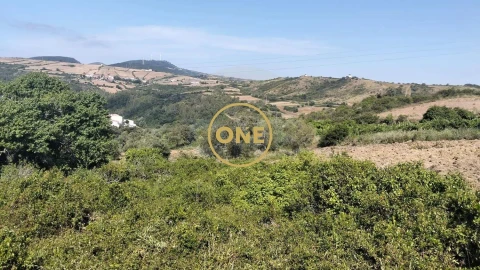 Terreno para Venda em Igreja Nova e Cheleiros